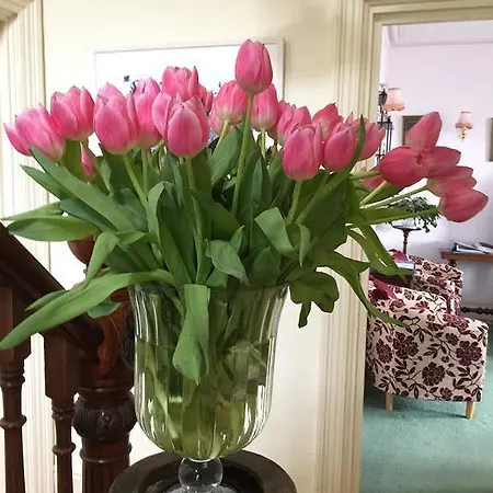 Bed and breakfast Symply Padstow